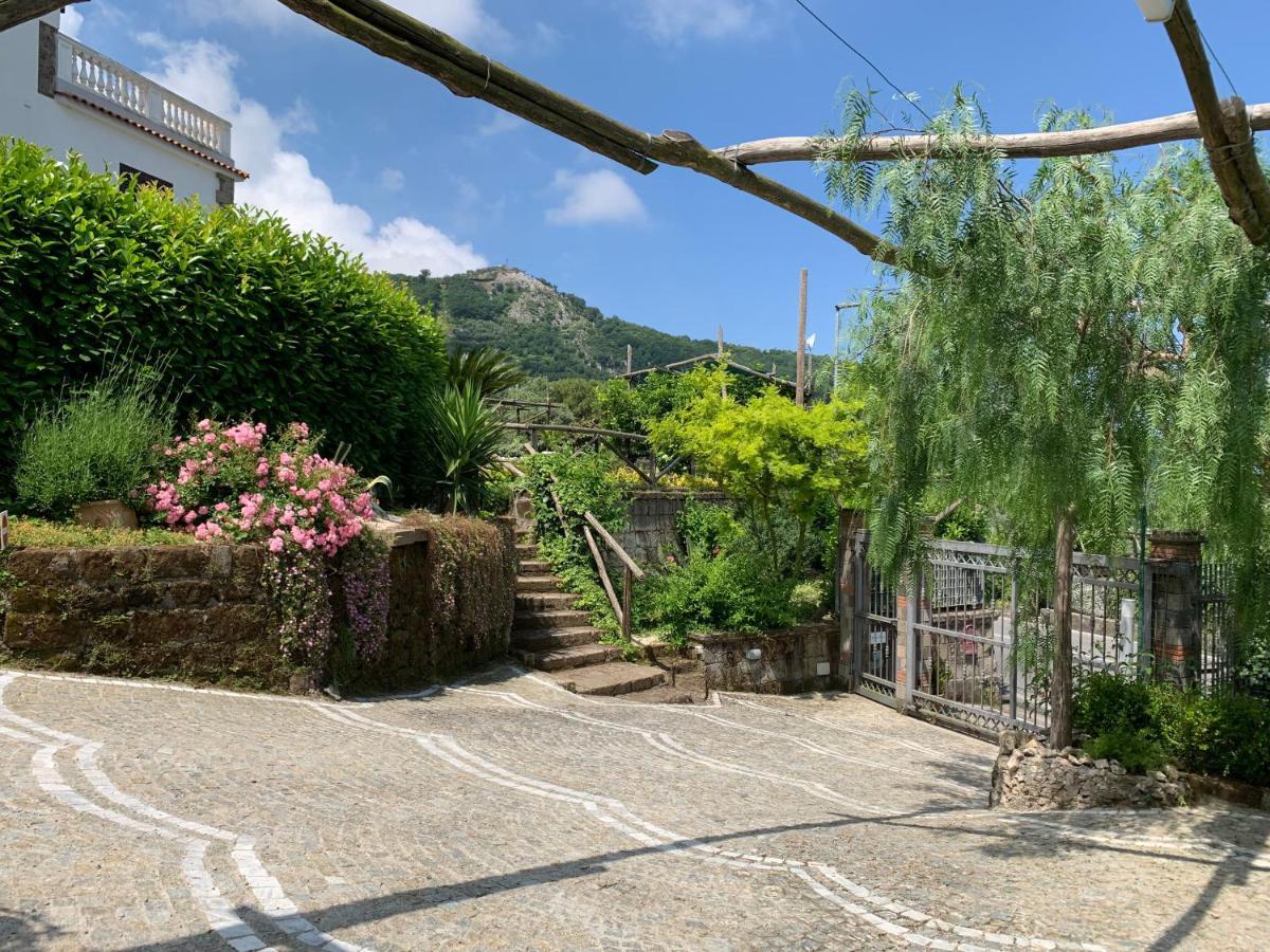 Villa Flore Colli di Fontanelle Exterior foto